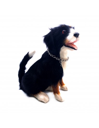 Berner Sennenhund sitzend 12cm