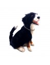 Berner Sennenhund sitzend 12cm