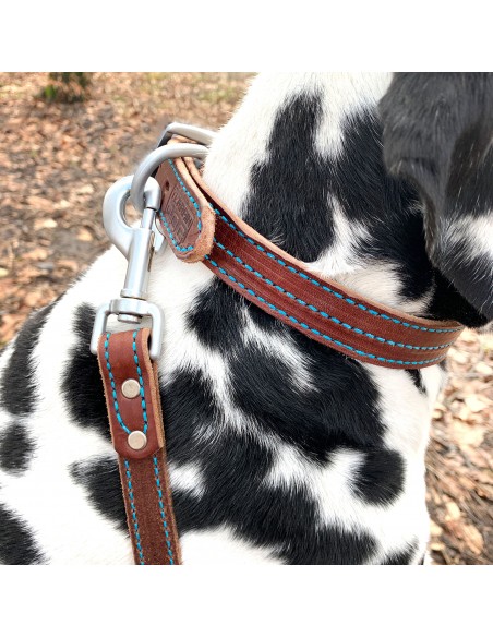 Hunde Halsband blau abgesteppt