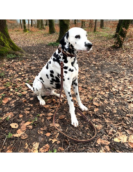 Hunde Leine blau abgesteppt